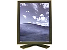 Radiforce GS310(医療用)